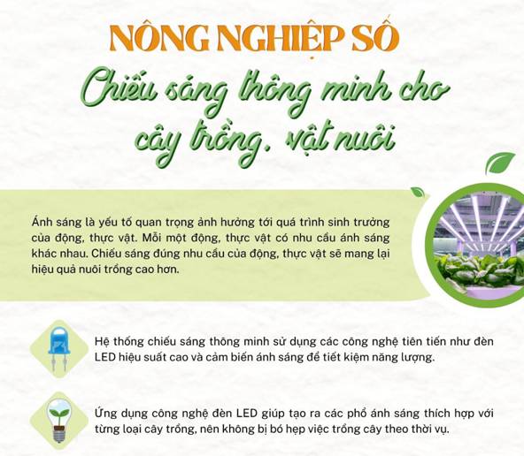 Description: https://phuong4.tayninh.gov.vn/uploads/news/2024_07/1_4.jpg