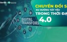 NHÀ MẠNG PHẢI XÓA SỔ THUÊ BAO 2G TRƯỚC NGÀY 16/9/2024